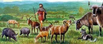 Début de la domestication des animaux