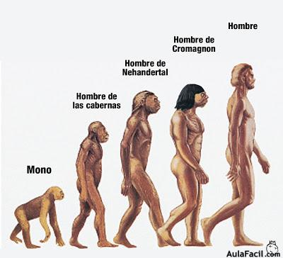 El hombre de Cromagnon ocupa el territorio Peninsular.