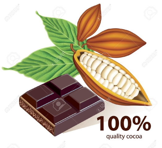 Producción de Cacao