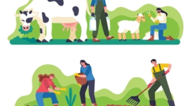 Timeline: Actividades Agropecuarias en Venezuela