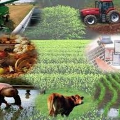 Timeline: Actividades Agropecuarias