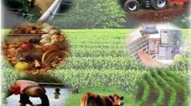 Timeline: Actividades Agropecuarias