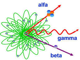 Efectos biológicos de la radiación ionizante.