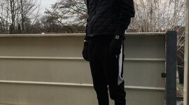 Timeline: Timeline Gino