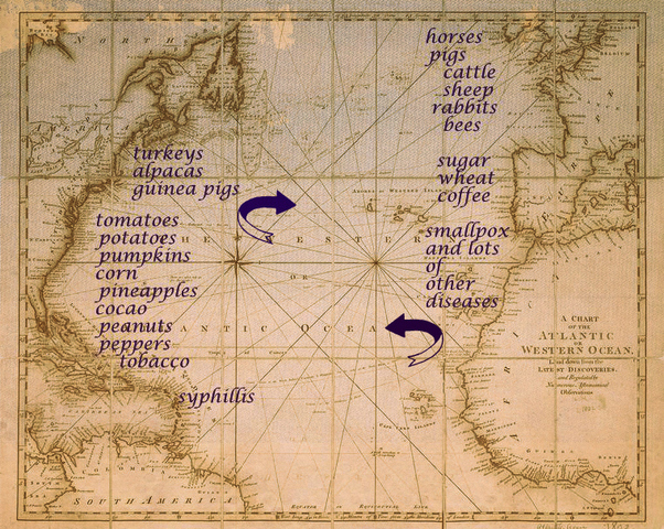 Potatoes Brought to Europe