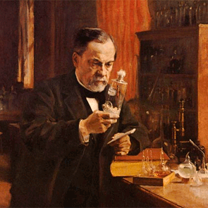 Estudios sobre la fermentación