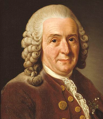 linnaeus