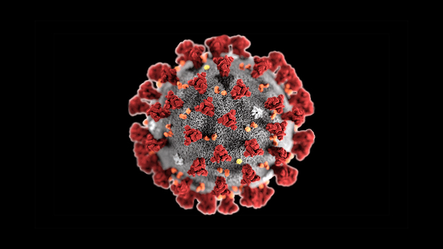 Coronavirus begins and online learning starts
