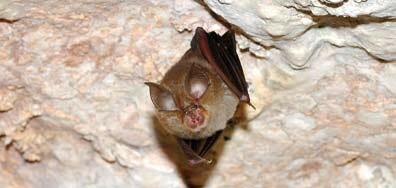 Primera ocupación de cajas-refugio.