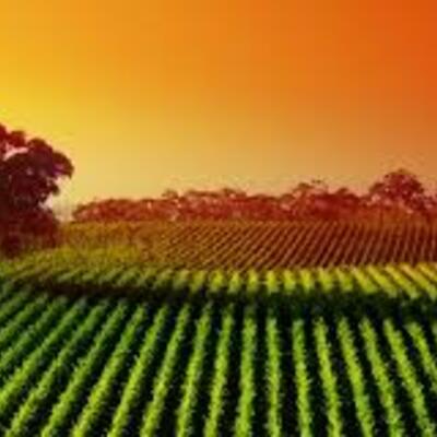 Timeline: AgriEcology Environmental Timeline Pre-1900