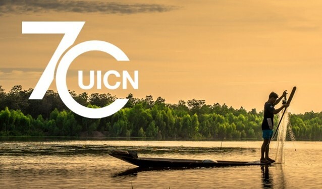 Creación de organizaciones internacionales