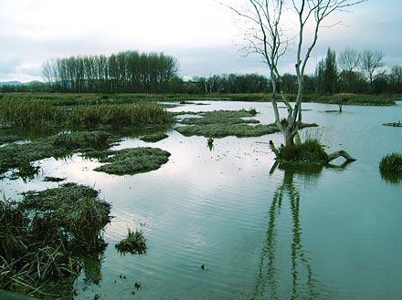 Declaración de zona vulnerable.