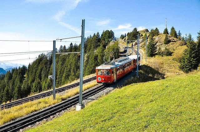 Nuevos transportes de viaje
