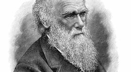 Timeline: Charles Darwin