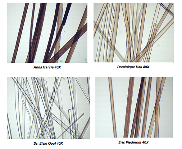 traces we leave behind