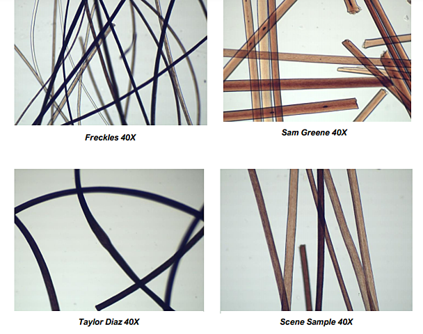 traces we leave behind