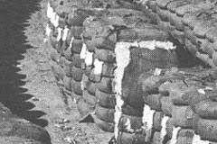 War Clouds and Agriculture