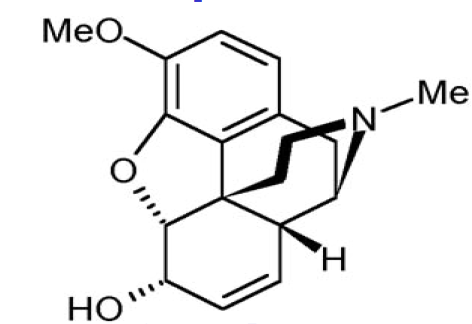 Découverte de la codéine par Robiquet