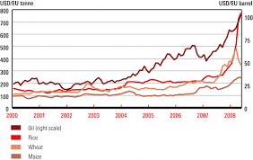 Food Price Crisis