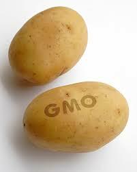 Genetically modified food