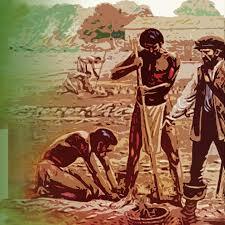 Agricultura Prehispánica Venezolana