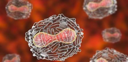 Otra peste de viruela