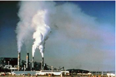 Para 1990 la industria química había creado 80 mil compuestos nuevos de uso habitual  que resultaron perjudiciales aun en cantidades minúsculas.