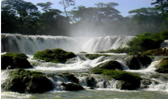 En 1967 el  historiador Lynn White publica un artículo donde pone a juicio la relación existente entre el cristianismo y la crisis ecológica.