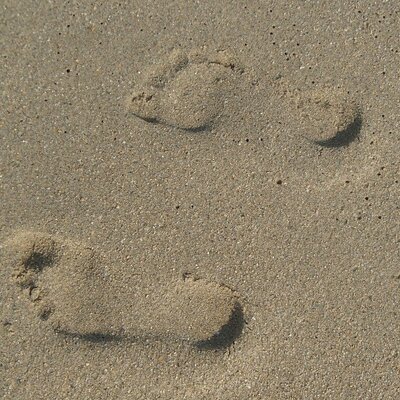 Timeline: A fejlesztő értékelés bevezetésének lépései