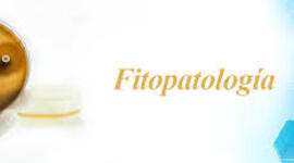 Timeline: HISTORIA DE LA FITOPATOLOGIA - UNAD