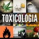 Toxicologia 1 638@1558613580227@650x0 adjust middle
