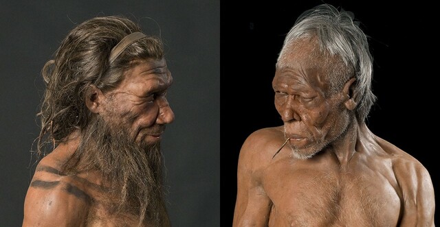 Homo neanderthalensis