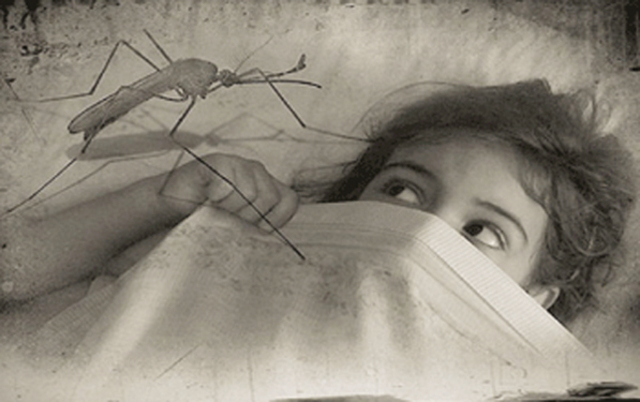 Lanzamiento del Programa de Erradicación del Paludismo