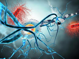 Otras nociones de Causas