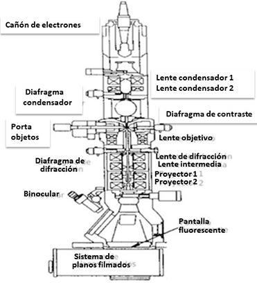 Microscopio electrónico