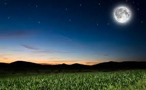 Teoría cósmica o sideral