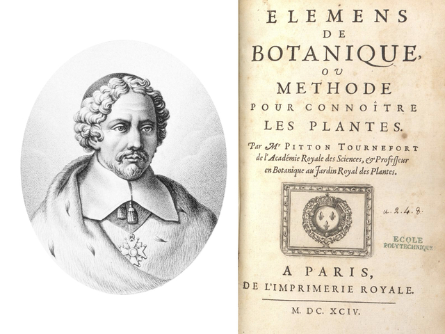 Clasificación inicial de la fitopatología