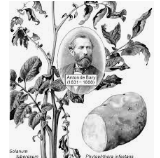 LA TEORÍA MICROBIANA SIN PASTEUR Y KOCH