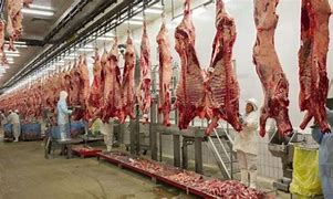 Se potenciada los figorificos