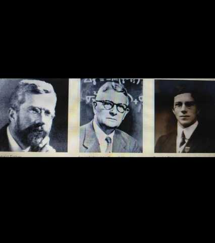 Síntesis evolutiva moderna