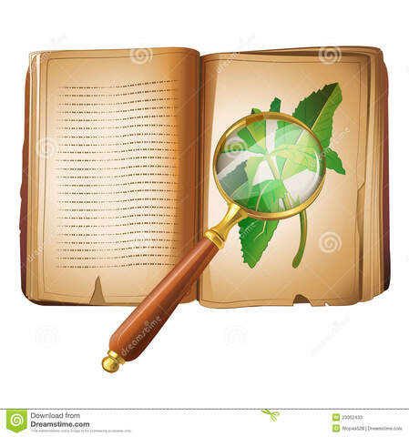 Edad Contemporánea XX