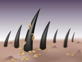 Hair Problems/ Scalp Disorder