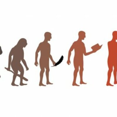 Timeline: Gestión de la Producción