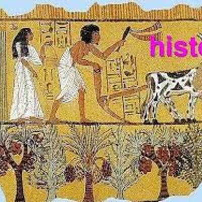 Timeline: historia de los conceptos de causas y enfermedad: paralelismo entre la medicina y la fitopatología