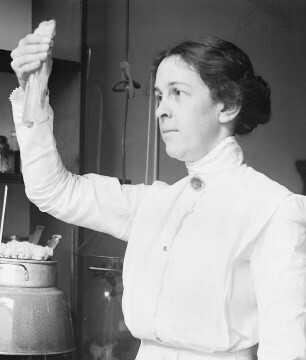 Alice Catherine Evans