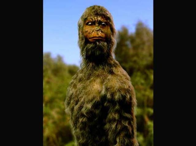 Australopethecus (Latin) and Austrlopethecus Afarnesis (Common)- 3 million years ago
