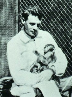 Demuestran que la fiebre de las montañas rocosas es trasmitida por garrapatas