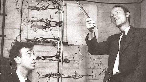 Consiguen diluciar la estructura en doble helice del DNA por James Watson y Francis Crick