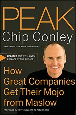 Chip Conley publica su libro "How Great Companies Get Their Mojo From Maslow"