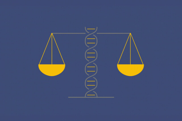 AMPLIACION DE LAS FRONTERAS Y RELACIONES DE LA BIOÉTICA